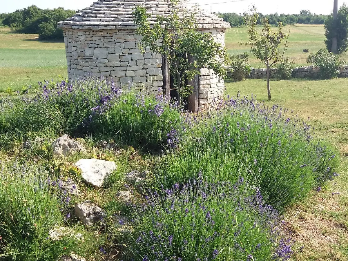 Bed And Breakfast Casa Rustica Vodnjan